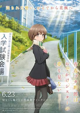 亚洲a网站