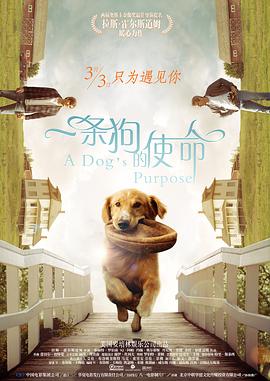 羞羞歪歪妖精动漫